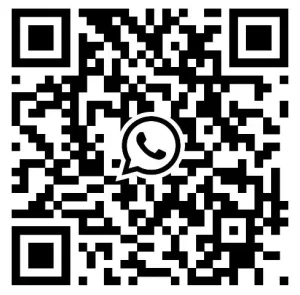 whatsapp alina