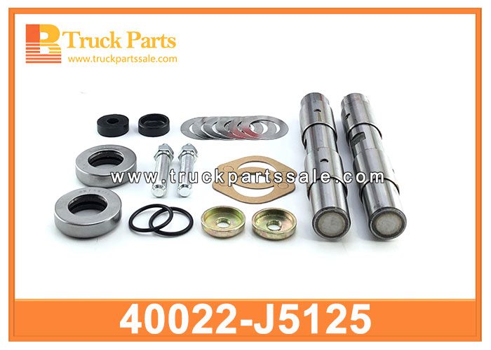 king pin kit 40022-J5125 for NISSAN Kit King Pin King Pin Kit