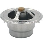 1118010 116-7577 THERMOSTAT for CATERPILLAR