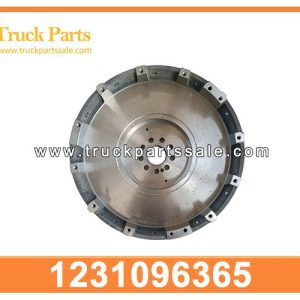 1231096365 1231096270 Flywheel for NISSAN RF8